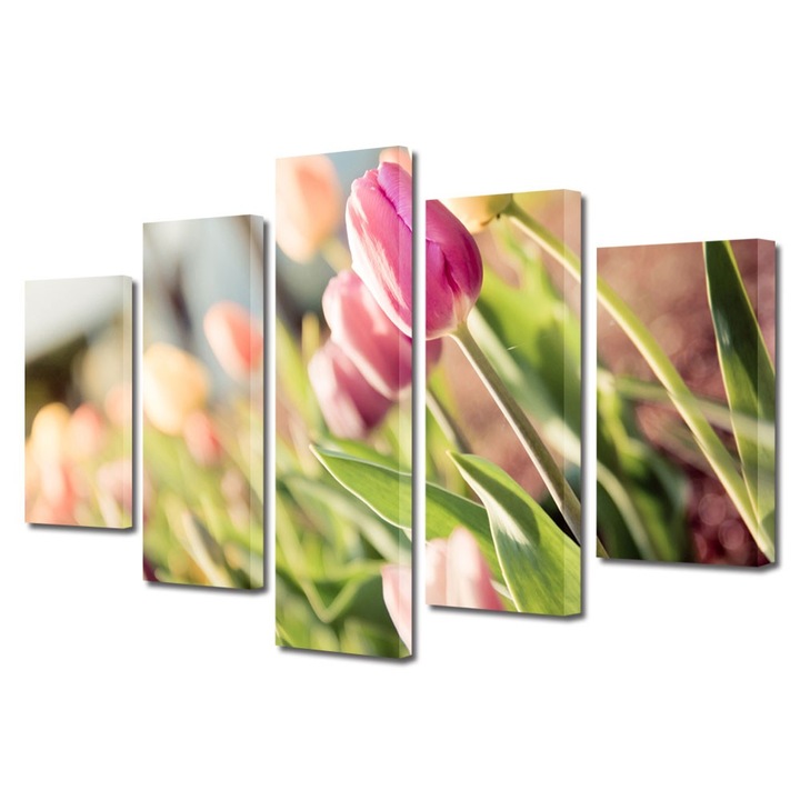 Tablou Multicanvas 5 Piese Flori, Lalele la soare, 120 x 225 cm