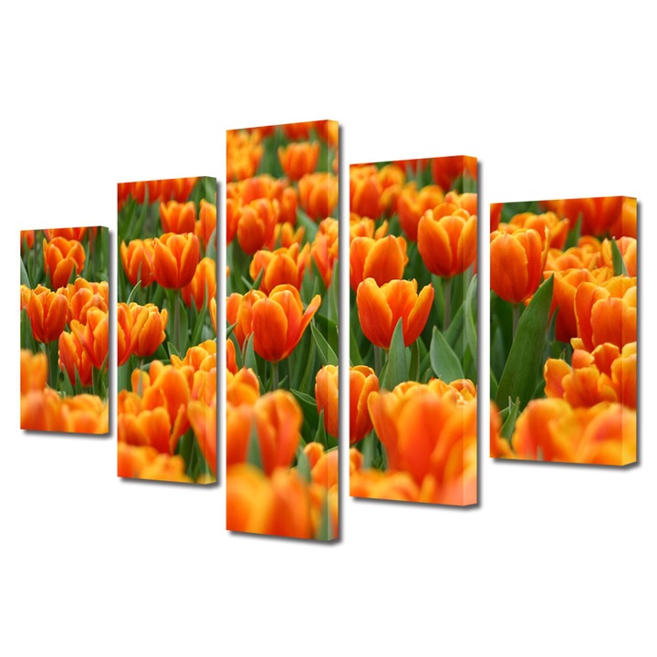Tablou Multicanvas 5 Piese Flori, Lalele portocalii, 100 x 175 cm
