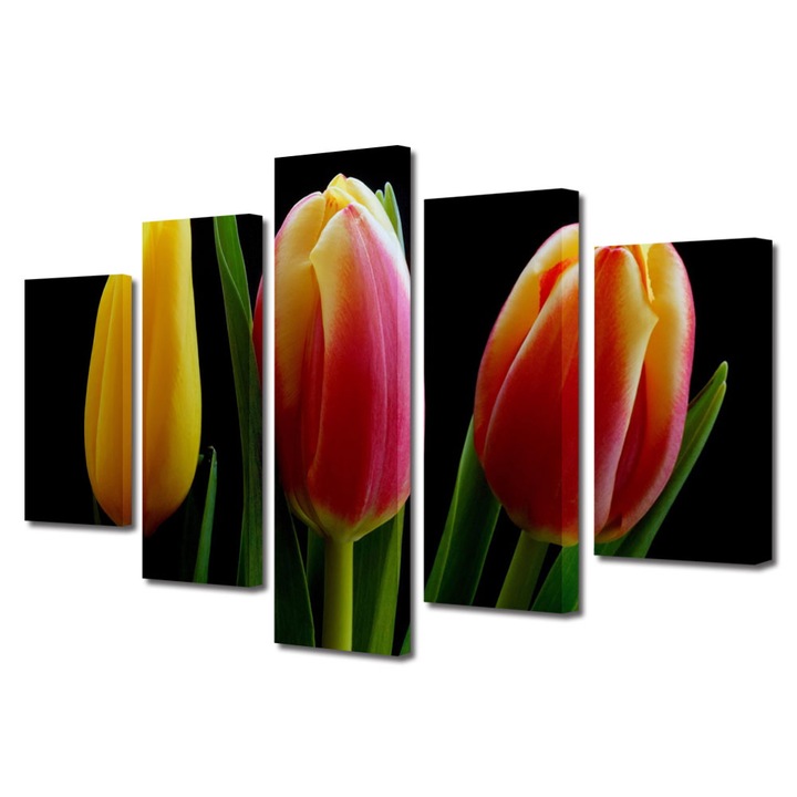 Tablou Multicanvas 5 Piese Flori, Trei lalele, 120 x 225 cm
