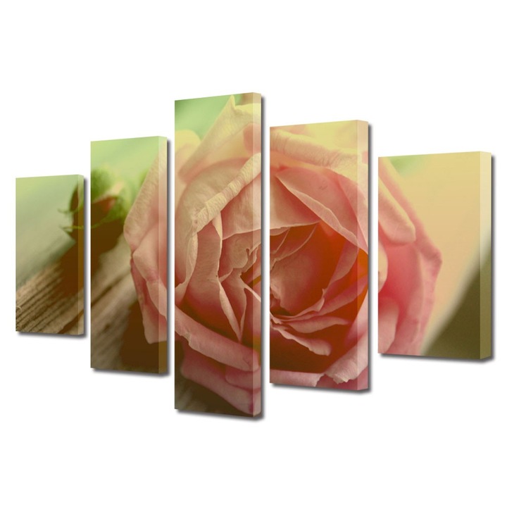 Tablou Multicanvas 5 Piese Flori, trandafir roz piersica, 120 x 225 cm