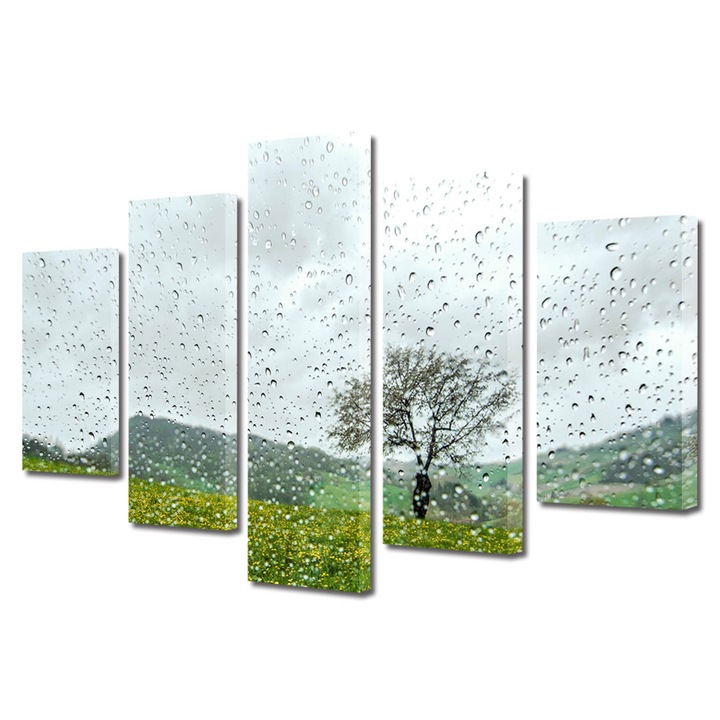 Set Tablouri Multicanvas 5 Piese Flori, Dupa ploaie, 70 x 125 cm