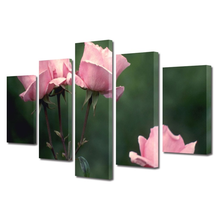Tablou Multicanvas 5 Piese Flori, Roz, 120 x 225 cm