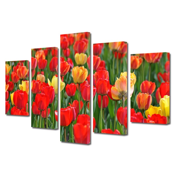 Tablou Multicanvas 5 Piese Flori, Miros de lalele, 120 x 225 cm