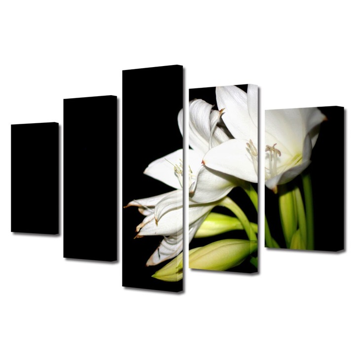 Tablou Multicanvas 5 Piese Flori, Liliac alb, 120 x 225 cm