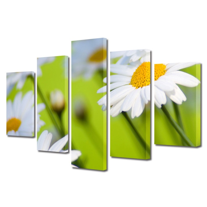 Tablou Multicanvas 5 Piese Flori, Margarete, 120 x 225 cm