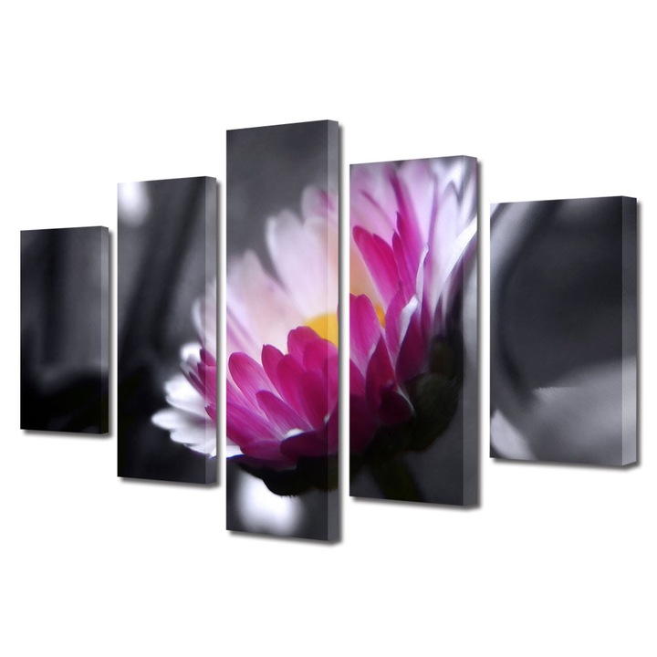 Tablou Multicanvas 5 Piese Flori, Floare roz pe fundal negru, 120 x 225 cm