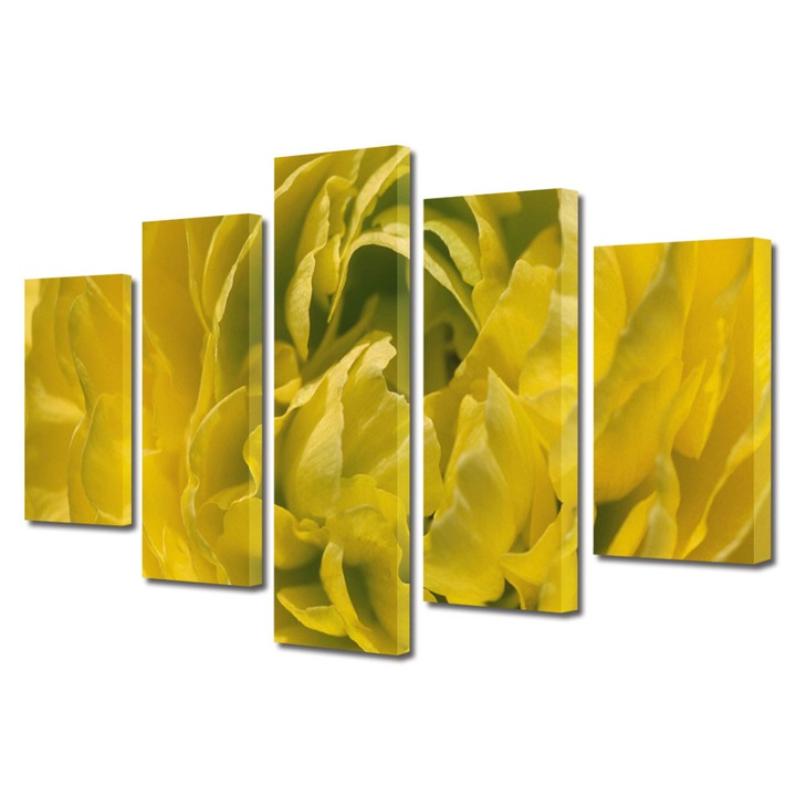 Tablou Multicanvas 5 Piese Flori, Petale aglomerate, 100 x 175 cm