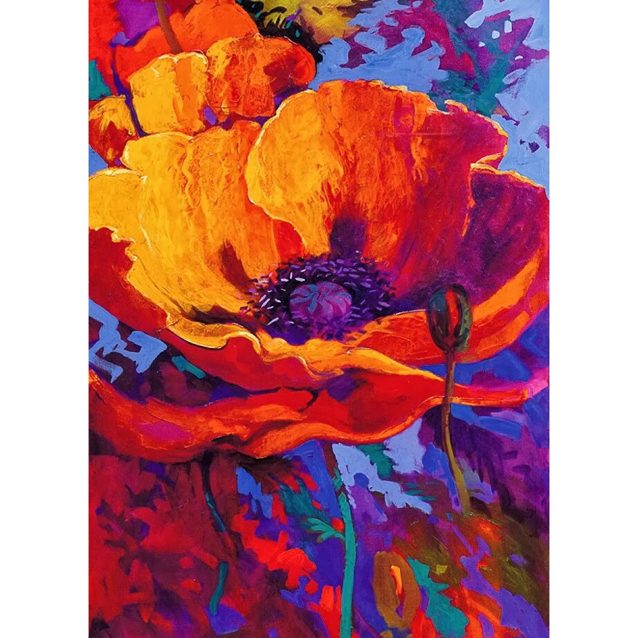 Pictura pe numere, panza pe rama 40*50 cm A051