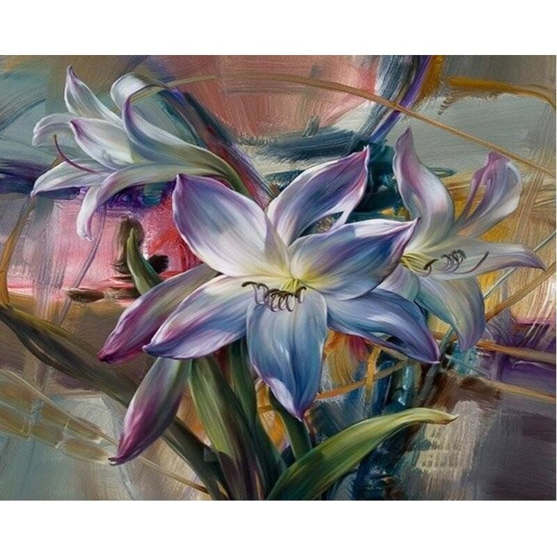 Pictura pe numere, panza pe rama 40*50 cm A055