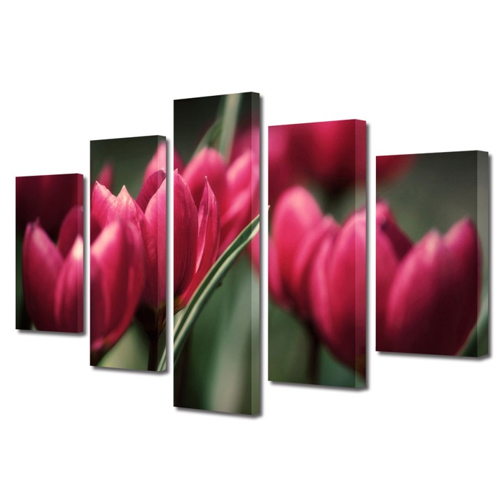 Tablou Multicanvas 5 Piese Flori, Lalele inflorite, 120 x 225 cm