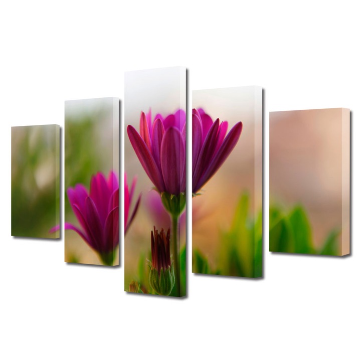 Tablou Multicanvas 5 Piese Flori, Cateva flori, 120 x 225 cm