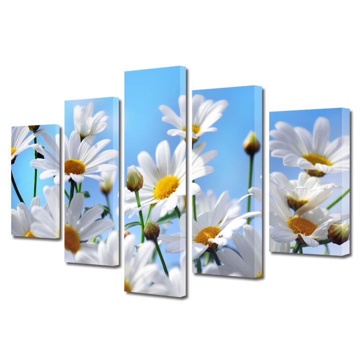 Tablou Multicanvas 5 Piese Flori, Flori in camp, 120 x 225 cm