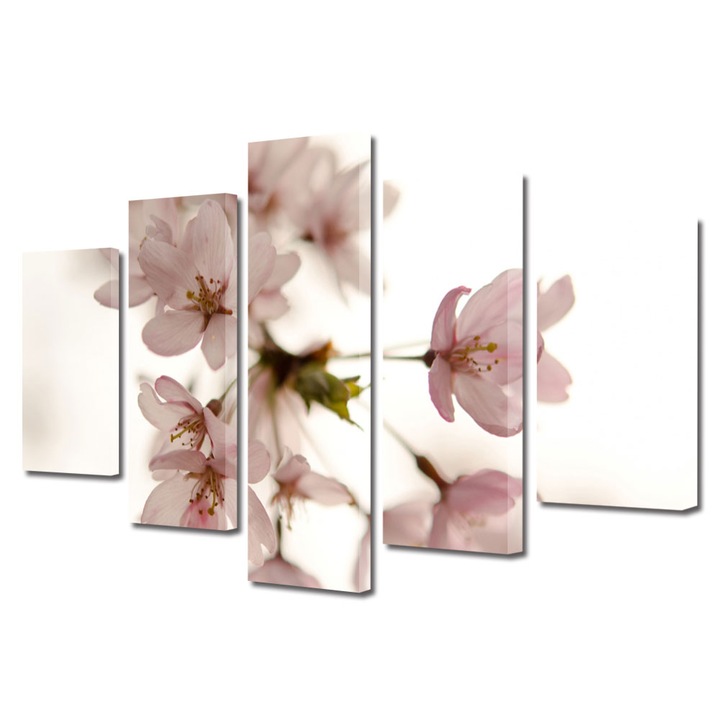 Tablou Multicanvas 5 Piese Flori, Floare roz japoneza, 120 x 225 cm