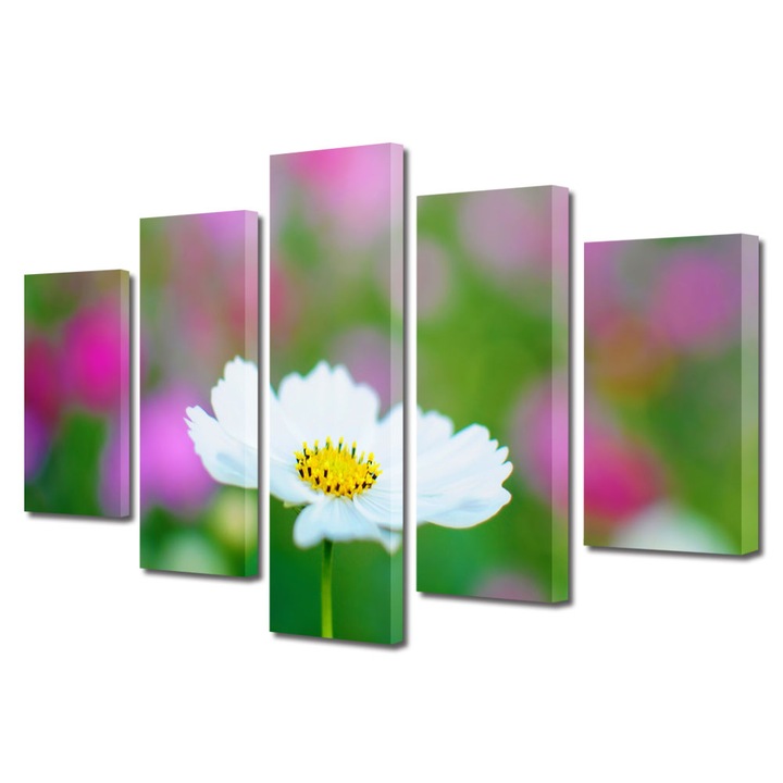 Tablou Multicanvas 5 Piese Flori, Alb imaculat, 120 x 225 cm