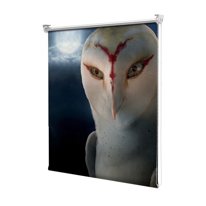 Roleta Art Shade tip Jaluzea cu Rulou si sistem inclus, Art Star, Legends of teh Guadians Bufnita Nyra, Animatii, Decoratiuni, Latime 95 cm x Inaltime 130 cm