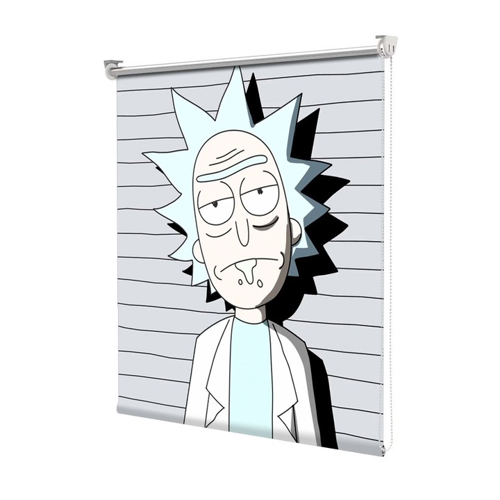 Roleta Art Shade tip Jaluzea cu Rulou si sistem inclus, Art Star, Rick arestat, Animatii, Decoratiuni, Latime 65 cm x Inaltime 190 cm