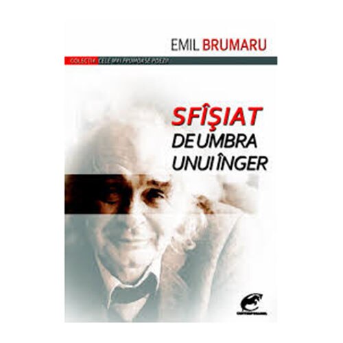 Sfisiat de umbra unui inger - Emil Brumaru