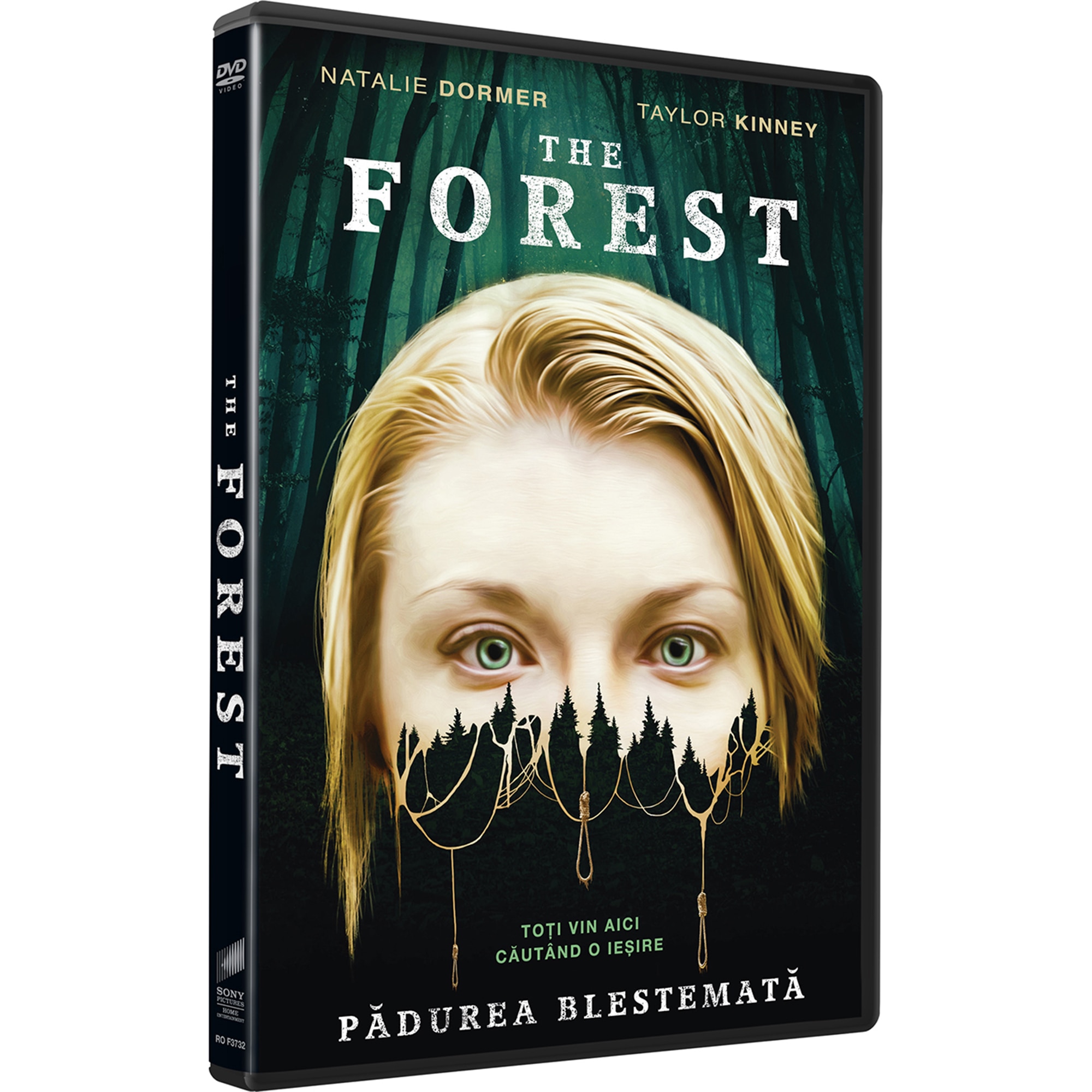 その他 Les Fleurs De Forest [DVD] Les Fleurs De Forest [DVD](中古品) 【公式通販】