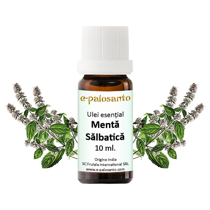 Ulei esential Menta Salbatica (Mentha Arvensis), puritate 100%, 10 ml, aromaterapie, e-palosanto