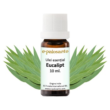 Ulei esential Eucalipt, puritate 100%, 10 ml, aromaterapie, e-palosanto Ulei esential Eucalipt, puritate 100%, 10 ml, aromaterapie, e-palosanto