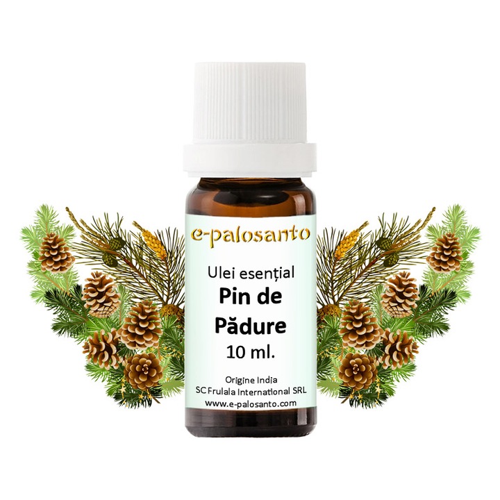 Ulei esential Pin de Padure (Scots Pine), puritate 100%, 10 ml, aromaterapie, e-palosanto