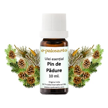 Ulei esential Pin de Padure (Scots Pine), puritate 100%, 10 ml, aromaterapie, e-palosanto Ulei esential Pin de Padure (Scots Pine), puritate 100%, 10 ml, aromaterapie, e-palosanto