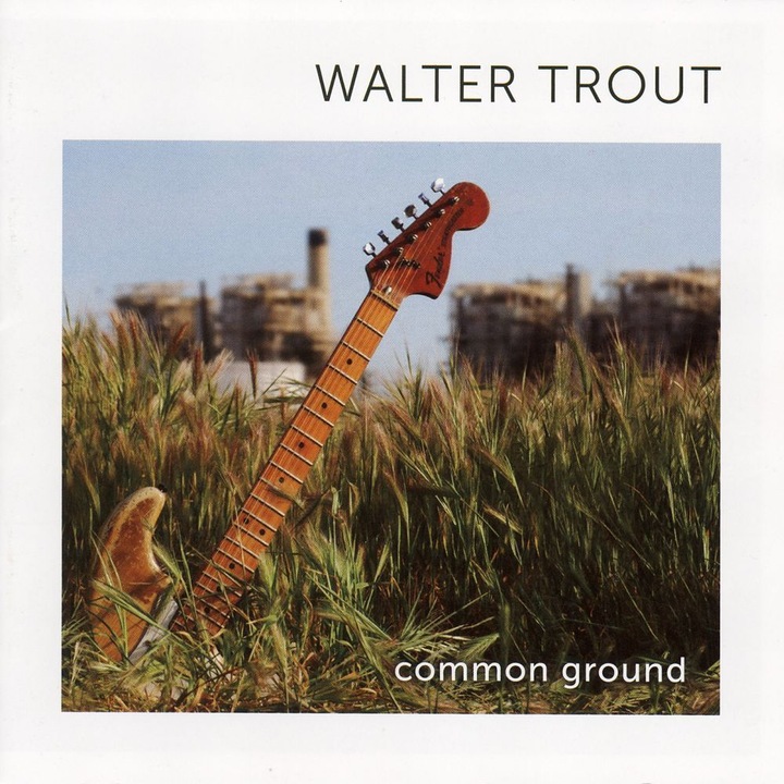 Walter Trout - Common Ground (cd)