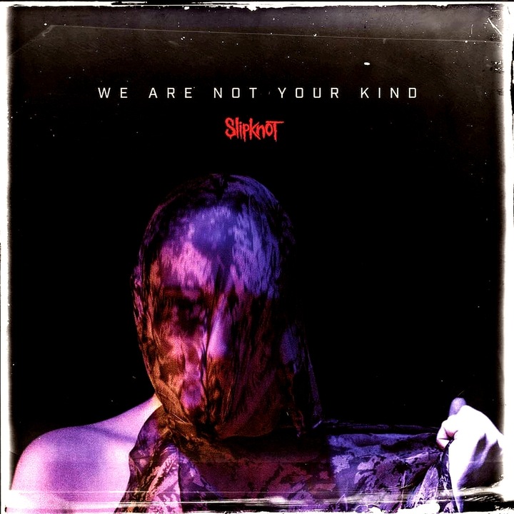 Slipknot - We Are Not Your Kind (cd)