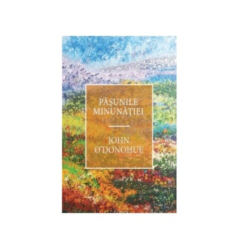 Pasunile Minunatiei, John O'Donohue, 168 pagini