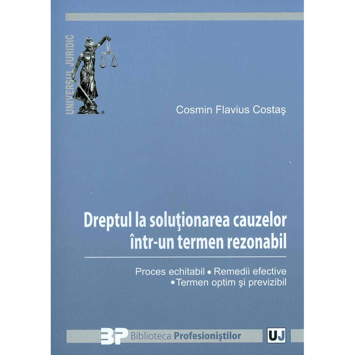 Dreptul la solutionarea cauzelor intr-un termen rezonabil - Cosmin Flavius Costas