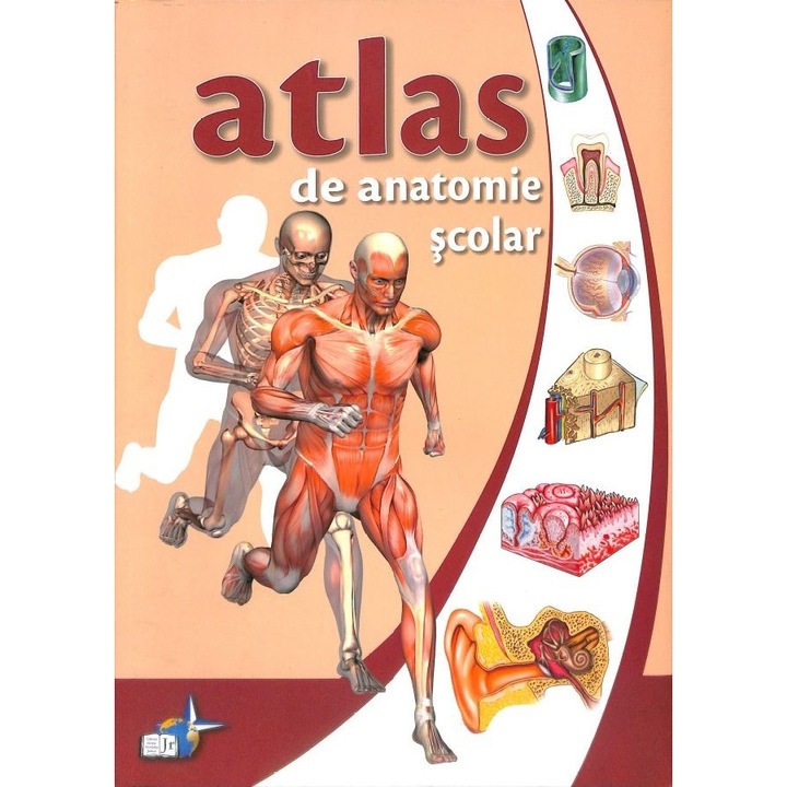 Atlas Anatomie Scolar