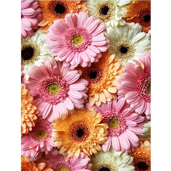 Tablou 903 Picteaza Dupa Numere, Crizanteme Pastelate, 40x50 cm - Krista® Tablou 903 Picteaza Dupa Numere, Crizanteme Pastelate, 40x50 cm - Krista®
