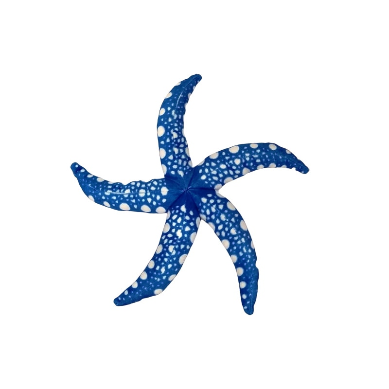 Stea de mare de plus 40 cm, Nichita Impex