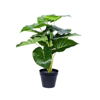 Planta artificiala in ghiveci, Alocasia, inaltime 60 cm Planta artificiala in ghiveci, Alocasia, inaltime 60 cm