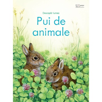 Pui de animale - Pui de animale -