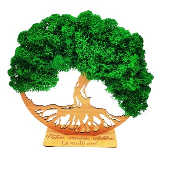 Decoratiune Copacul vietii cu licheni, cu suport gravat cu mesaj  Decoratiune Copacul vietii cu licheni, cu suport gravat cu mesaj