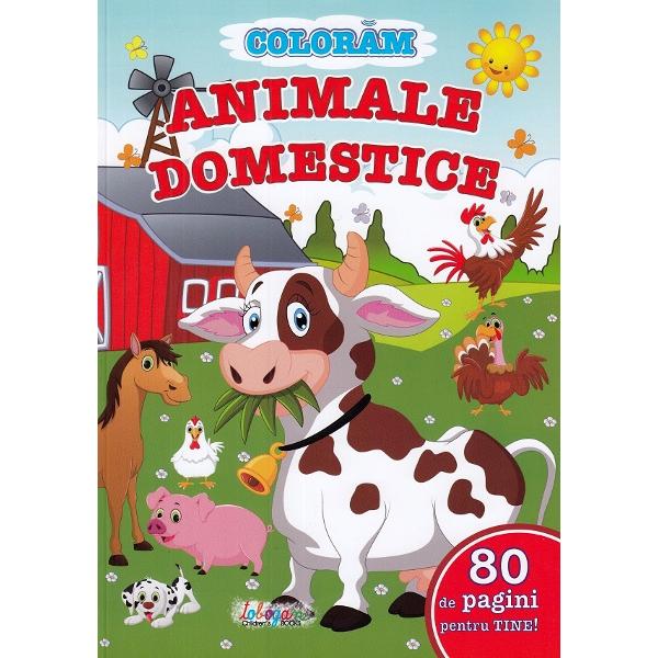 Coloram animale domestice. 80 de pagini pentru tine!