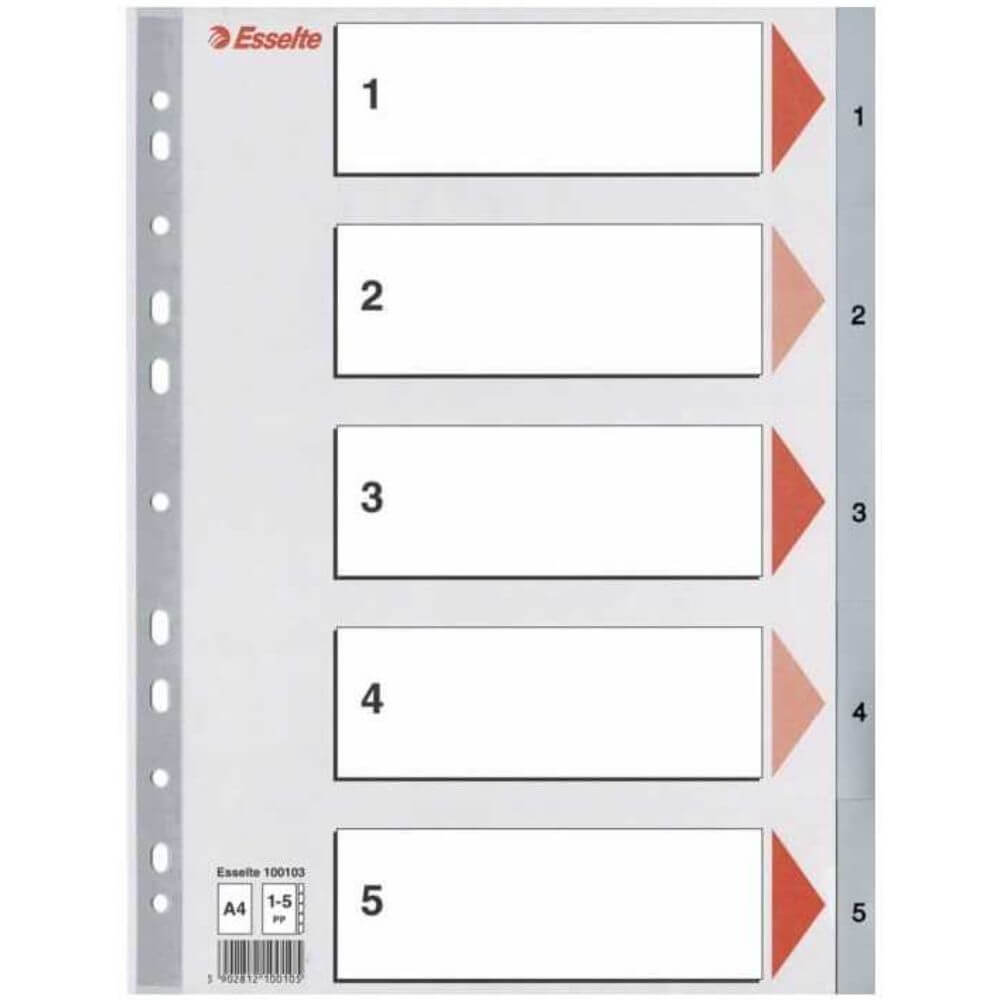 Index A4 Esselte, cu 5 Separatoare, Plastic, Gri