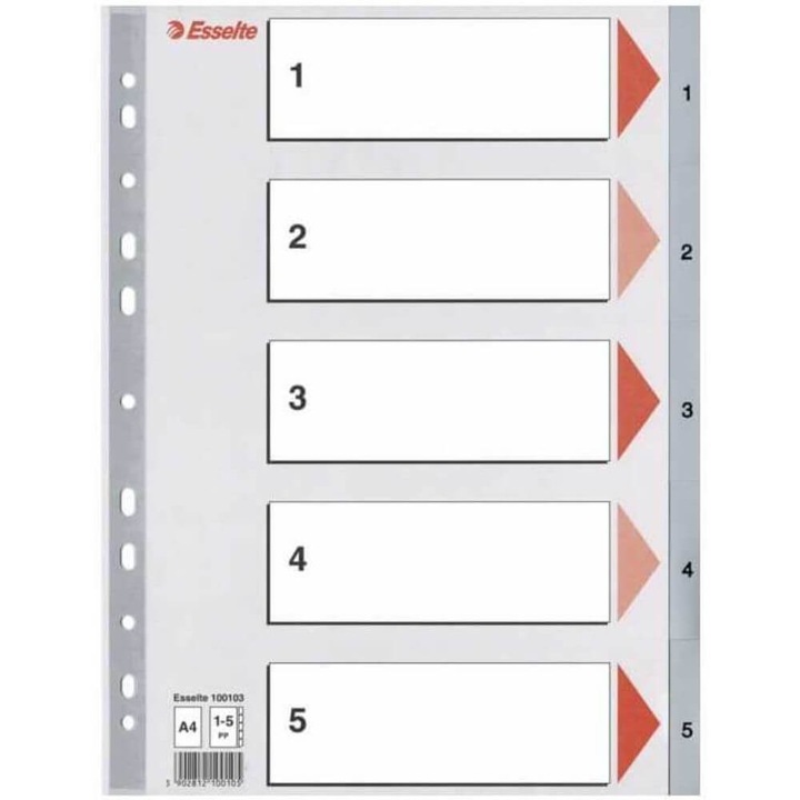 Index A4 Esselte, cu 5 Separatoare, Plastic, Gri