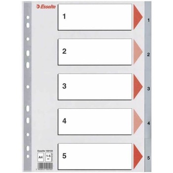 Index A4 Esselte, cu 5 Separatoare, Plastic, Gri Index A4 Esselte, cu 5 Separatoare, Plastic, Gri