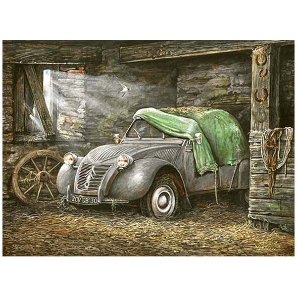 Pictura pe numere, panza pe rama 40x50 cm C7