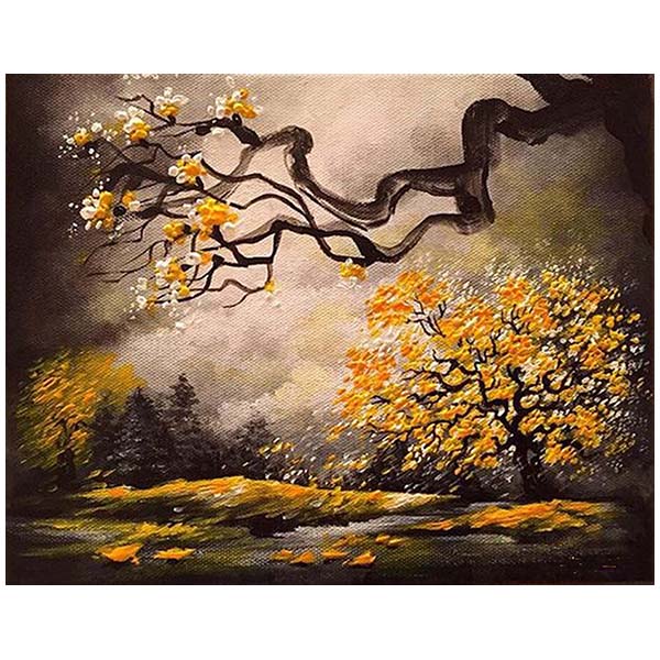 Pictura pe numere, panza pe rama 40x50 cm C13