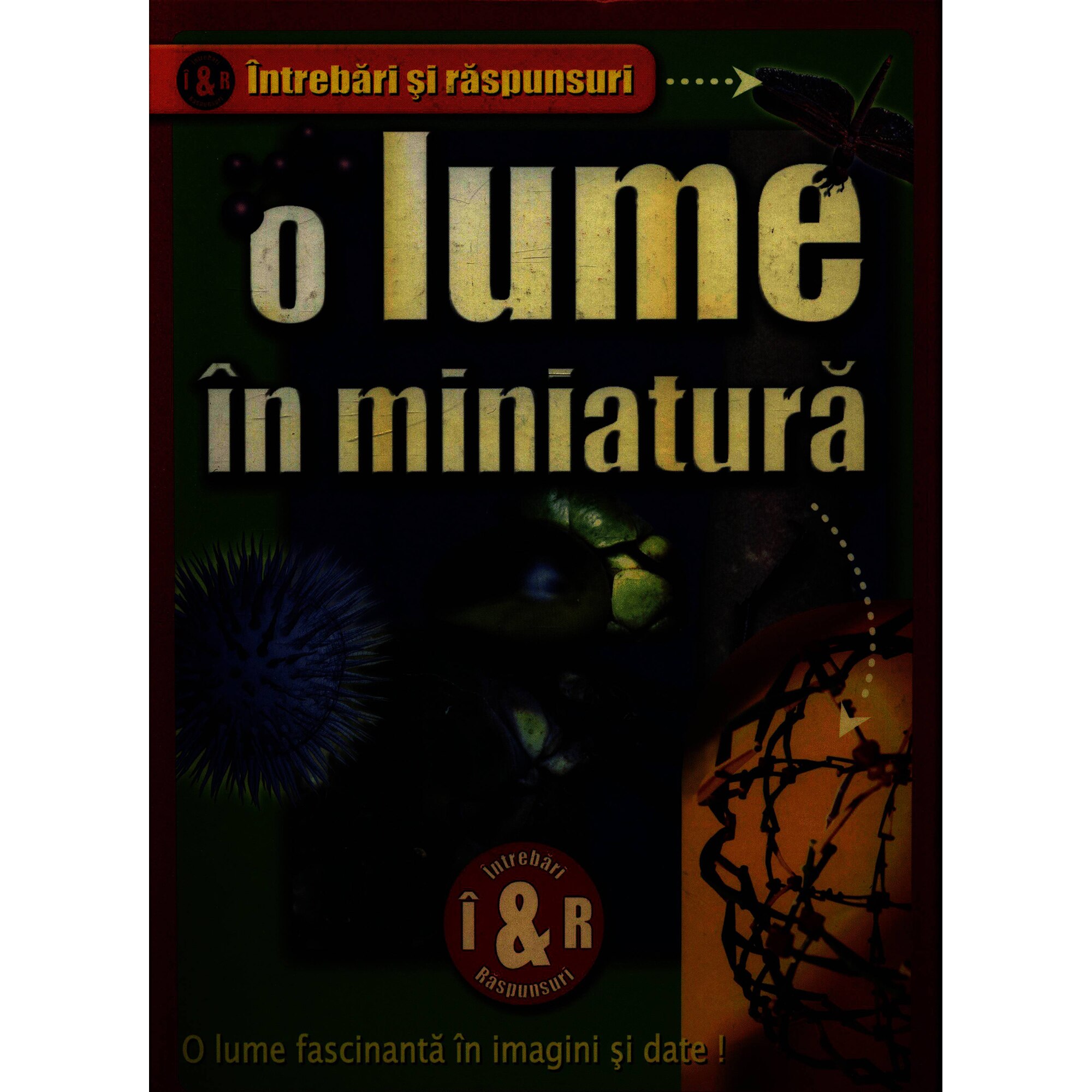 O lume în miniatura - Nick Gibbs