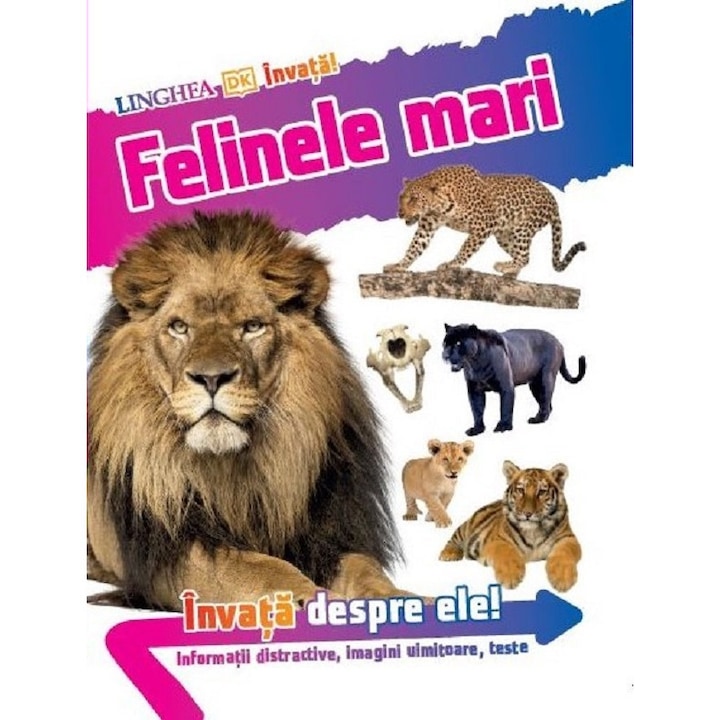 Felinele Mari. Invata Despre Ele