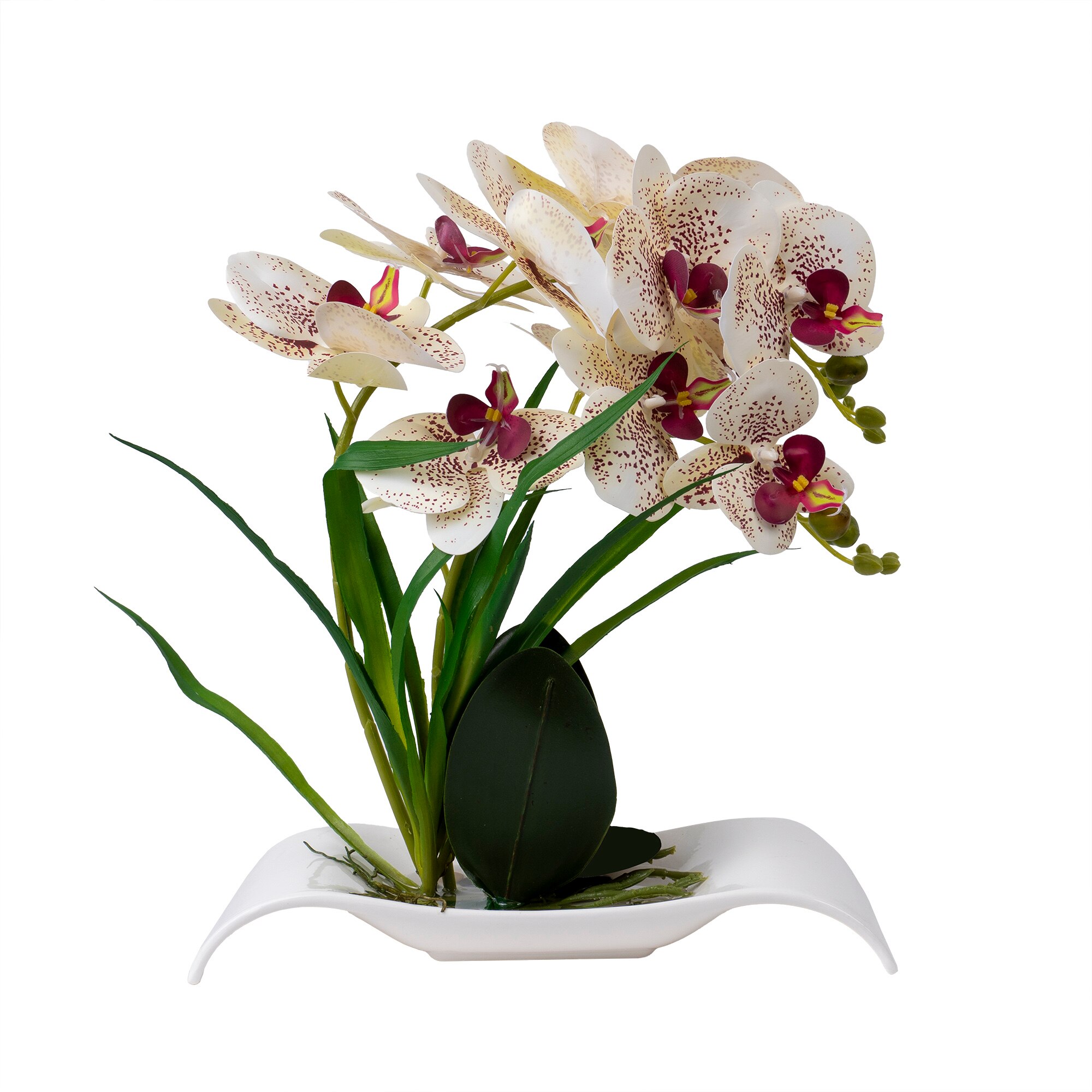 Orhidee cu aspect natural in ghiveci dreptunghiular ceramica alb, H 40 cm / CD3769-alb-grena