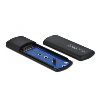 Rack extern usb-C la M.2 nvme pcie ssd Toolless, Delock 42615 Rack extern usb-C la M.2 nvme pcie ssd Toolless, Delock 42615