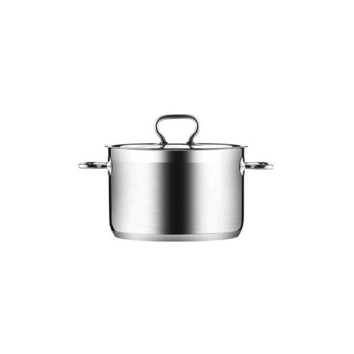 Oala cu capac, TESCOMA, Otel inoxidabil, 4 l, Argintiu