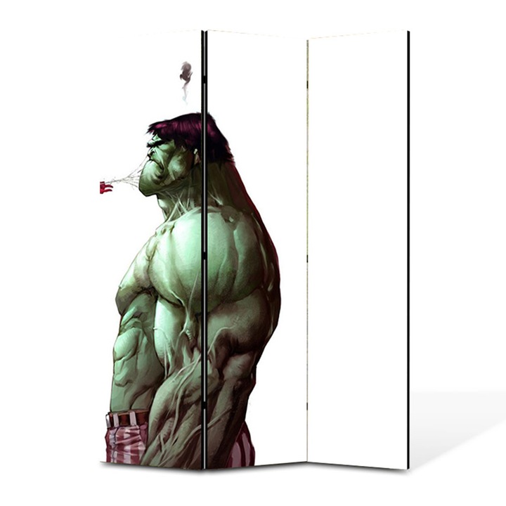Paravan 3 piese Premium TrueColor, Art Star, Spiderman si panza lui pe Halk nervos, Animatii, Panza pe cadru de lemn, Decoratiuni Moderne pentru Casa, 3 Panouri de 45x150, 135 x 150 cm