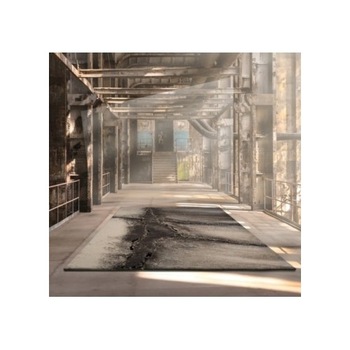 Covor MERINOS, Ibiza 606 95, 120 x 170 cm, densitate covor 2.7 KG/m², grosime covor 13 mm, Numar noduri pe m² 225000 Covor MERINOS, Ibiza 606 95, 120 x 170 cm, densitate covor 2.7 KG/m², grosime covor 13 mm, Numar noduri pe m² 225000