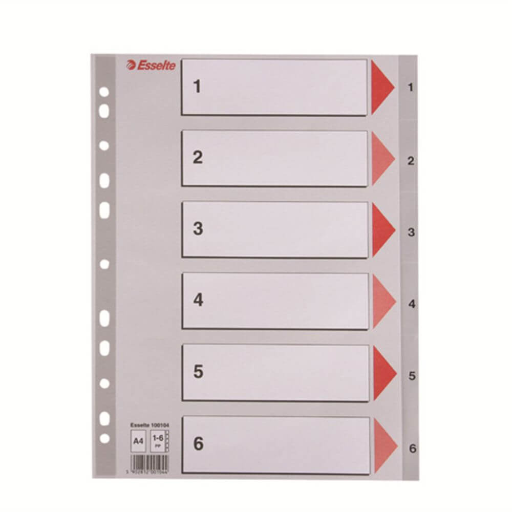 Index A4 Esselte, cu 6 Separatoare, Plastic, Gri